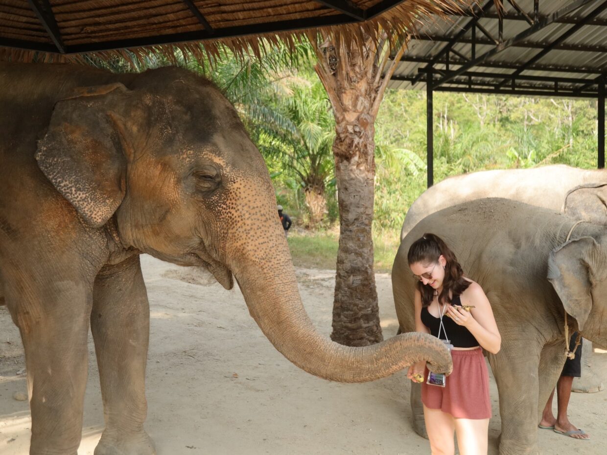 SW016 Elephant Care Program (ECA) @ Camp Chang Kalim - Image 3