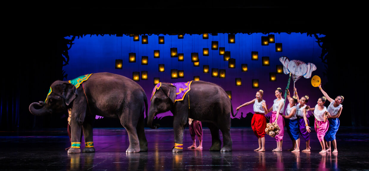 SW004 ภูเก็ตแฟนตาซีโชว์ Phuket Fantasea Show - Image 8