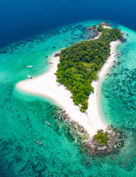 SW034 ทัวร์เกาะไข่ โดยเรือสปีดโบ๊ท (เต็มวัน/ครึ่งวัน(เช้า/บ่าย)) - Image 7