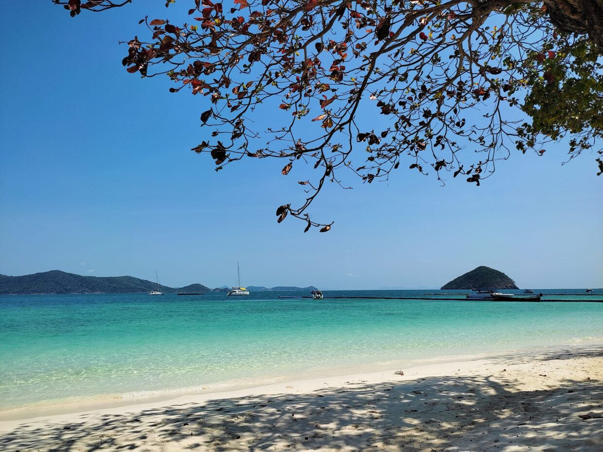 SW036 ทัวร์เกาะราชาใหญ่ + เกาะเฮ ด้วยเรือสปิดโบ๊ท - Image 3