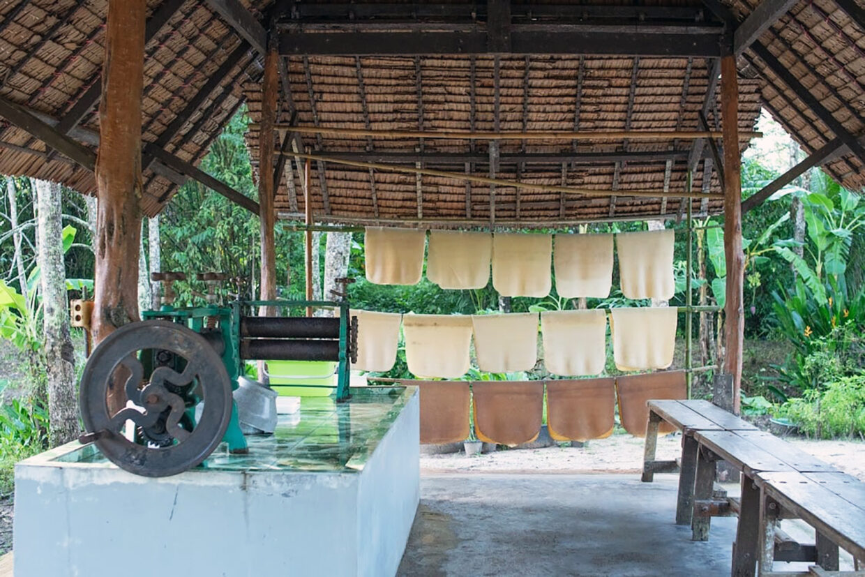 SW014 ทัวร์ OLD PHUKET FARM ครึ่งวัน/เต็มวัน - Image 8