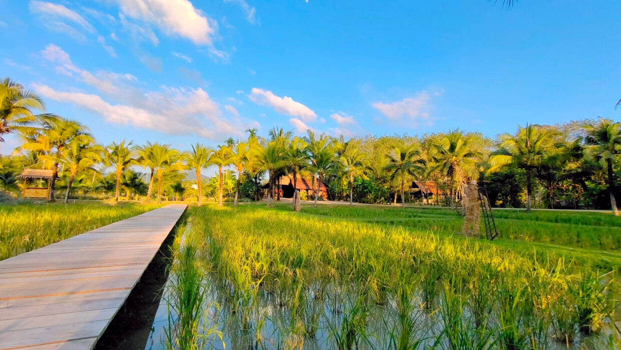 SW014 ทัวร์ OLD PHUKET FARM ครึ่งวัน/เต็มวัน - Image 6