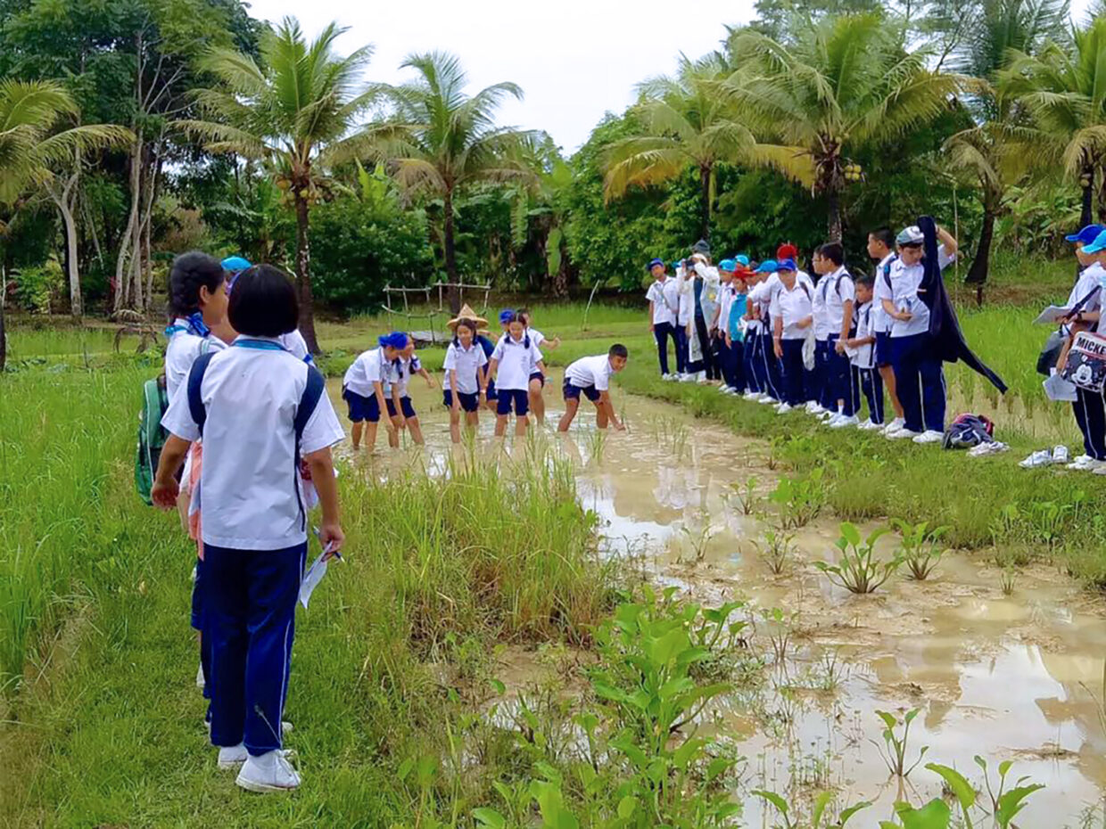 SW014 ทัวร์ OLD PHUKET FARM ครึ่งวัน/เต็มวัน - Image 3